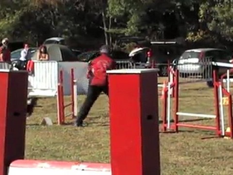 DEGRE CCABS 161011 CHOUIA