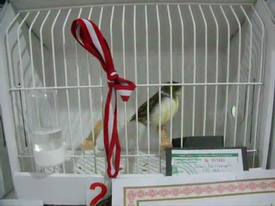 LIPOCHROME AHRAÇ TEPELI-2 KÜTAHYA | 2011