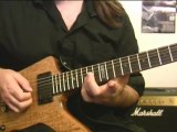 Blues/Rock licks Guitar Lesson - (Donations welcome via Paypal to rob@themonkeylord.com)
