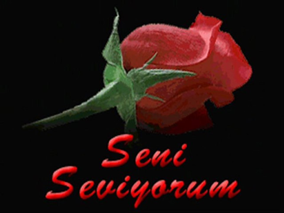 Ben seni sadece ruhumla sevdim (Y.JANUARY)