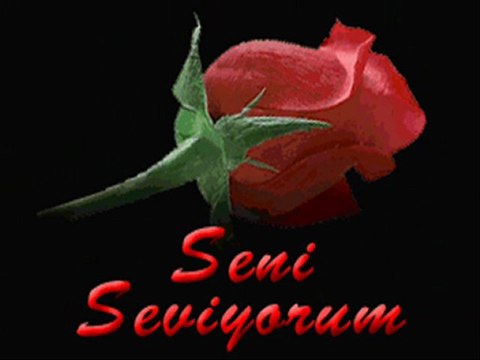 Ben seni sadece ruhumla sevdim (Y.JANUARY)