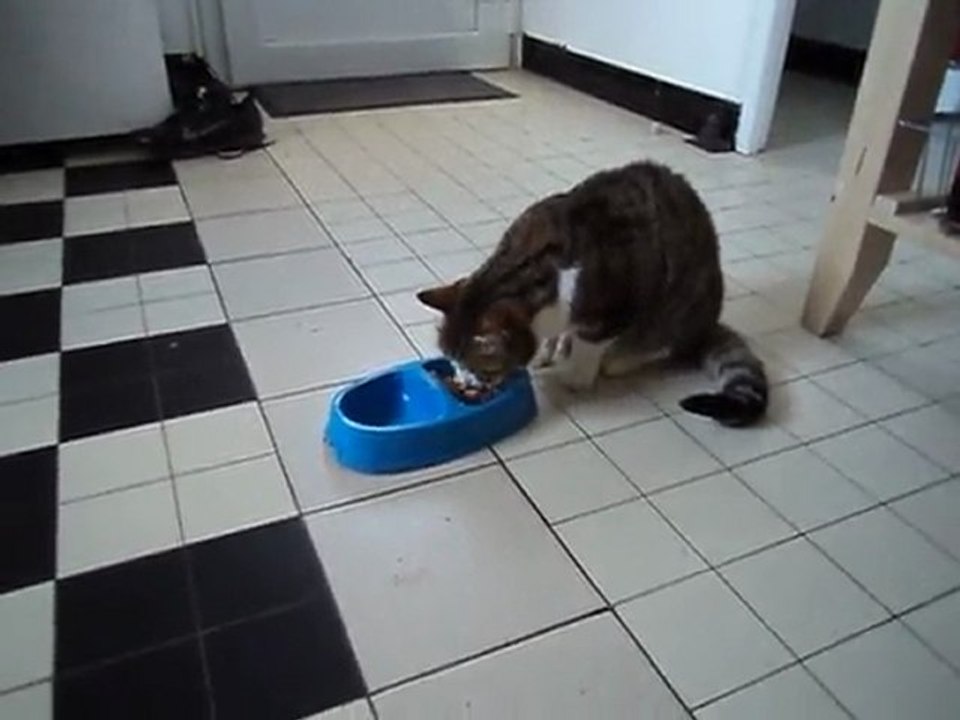 Adeline aime le poulet 25 sept 2011