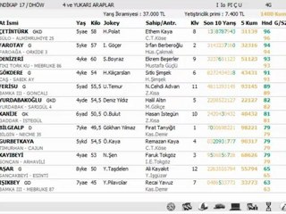 18 EKİM ANKARA YARIŞ YORUMLARI
