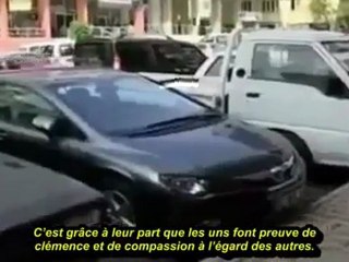 Soubhanallah ! La miséricorde d'un chat à voir !