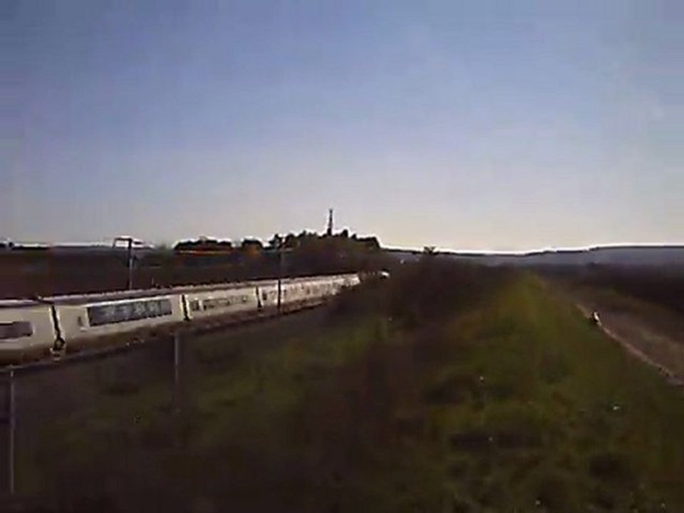 "chien" court apres" tgv"   "sncf" "train" "samoyede" "chevrieres" "eurostar"                            new