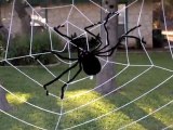 How to Create a Halloween Front Yard - DadLabs