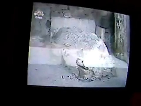 Grave of YAZEED- a Killer of Hazrat Imam Hussain.........Killer of Imam Hussain (Lanat Beshumaar)