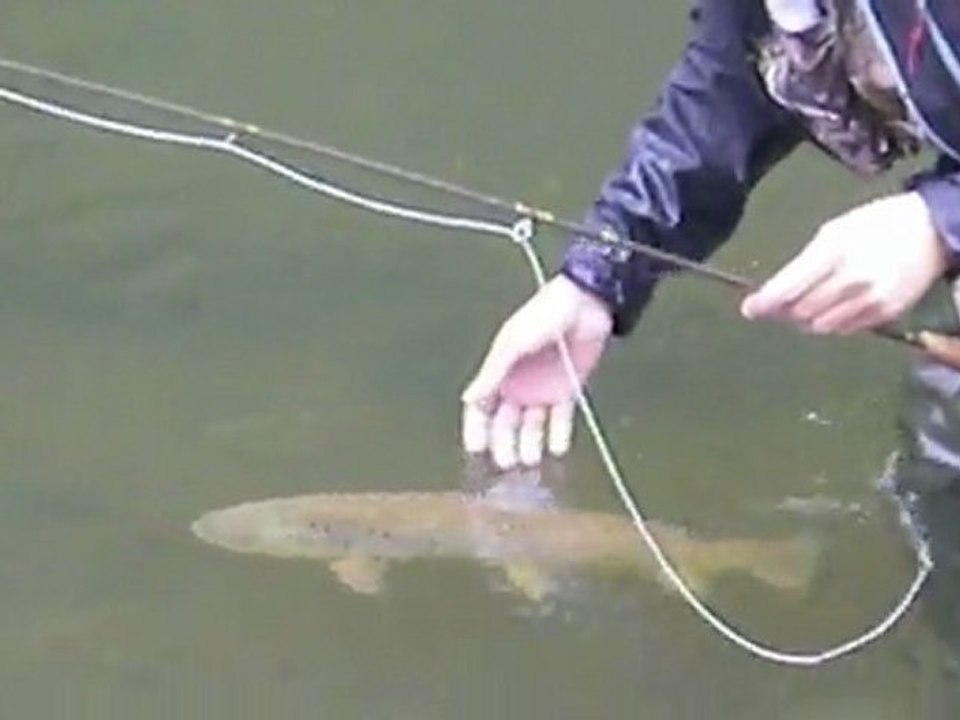 Pêche de la truite à la mouche en Lorraine été 2011