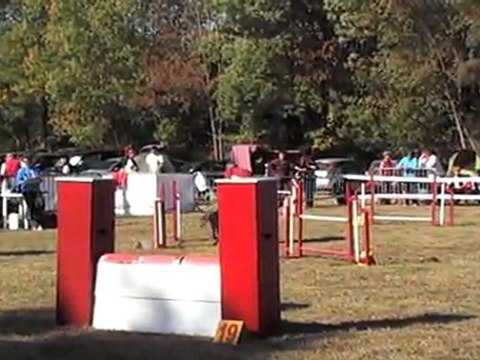 DEGRE CCABS 161011 SIDO