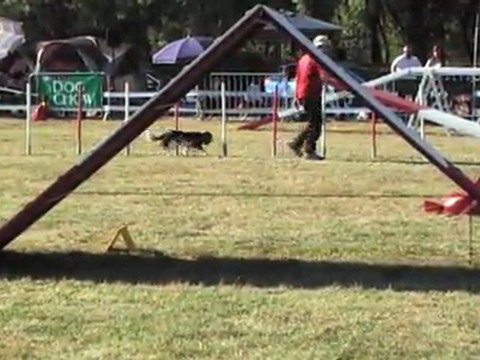 GPF CCABS 161011 CHOUIA