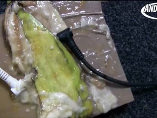 Evil Fruit Stomps in slow motion