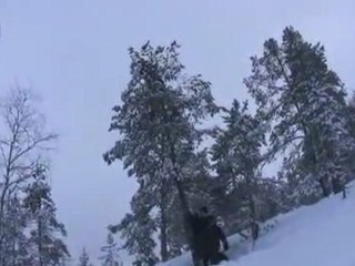 Fällen von Bäumen auf seinem schwedischen