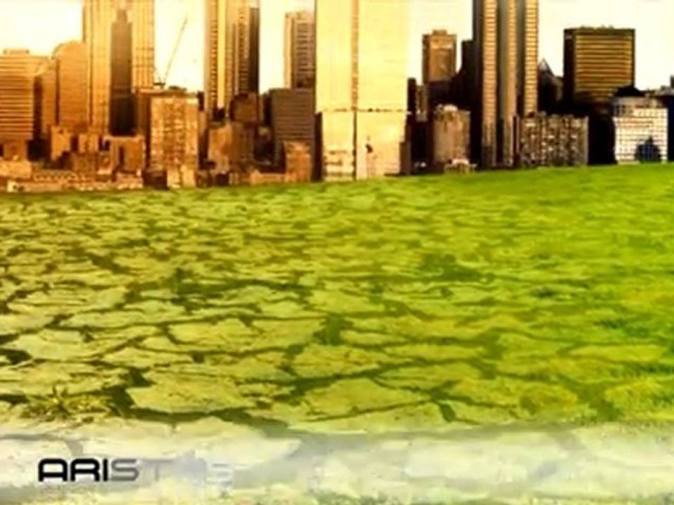 7º Aristas del Consumismo