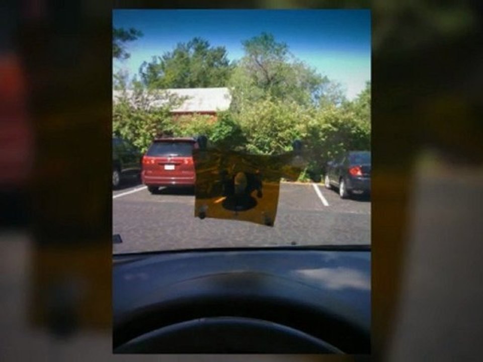 28727  windshield repair