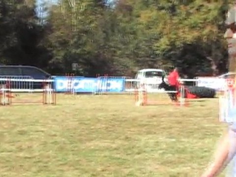 GPF CCABS 161011 SIDO