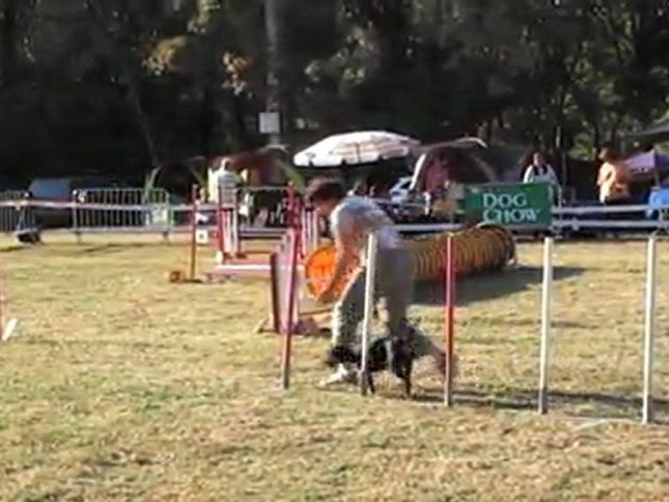 JUMPING CCABS 161011 BRUNETTE