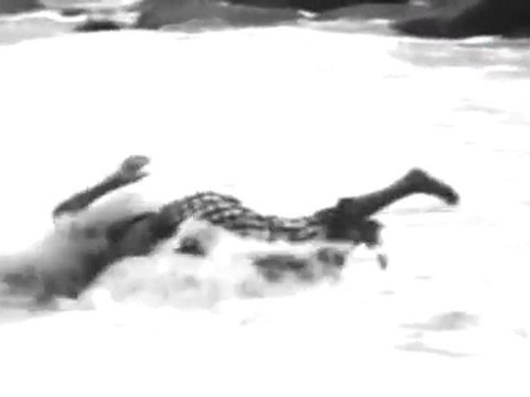 MUTHU MANDAPAM-FIGHTS 03.mov