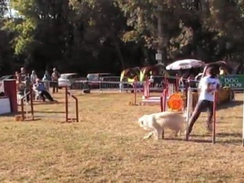 JUMPING CCABS 161011 CERISE