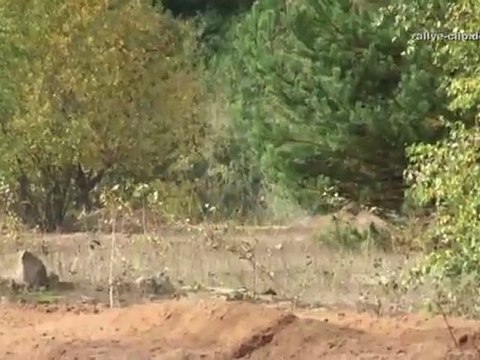 AGM Jimco Armin Schwarz BMW X6 V8 Trophy Truck for Baja 1000 and SCORE events 2012