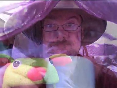 Rob Chappers reports from the future - Part 1