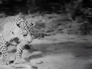 Naga Nandhini SCENE 01