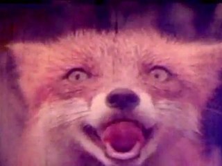 RAJATHI ROJAKILI-SCENE 35.mov