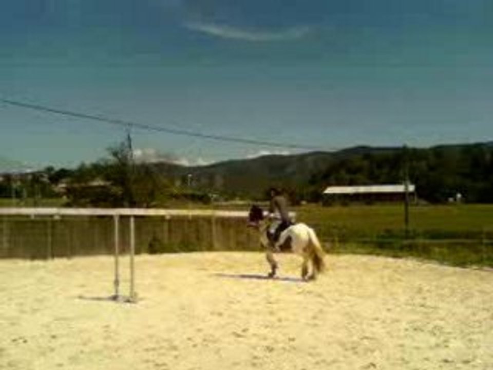 video-0001