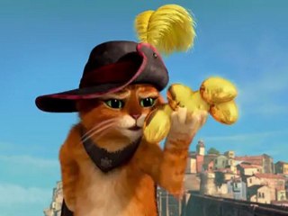 Le Chat Potté se la raconte !