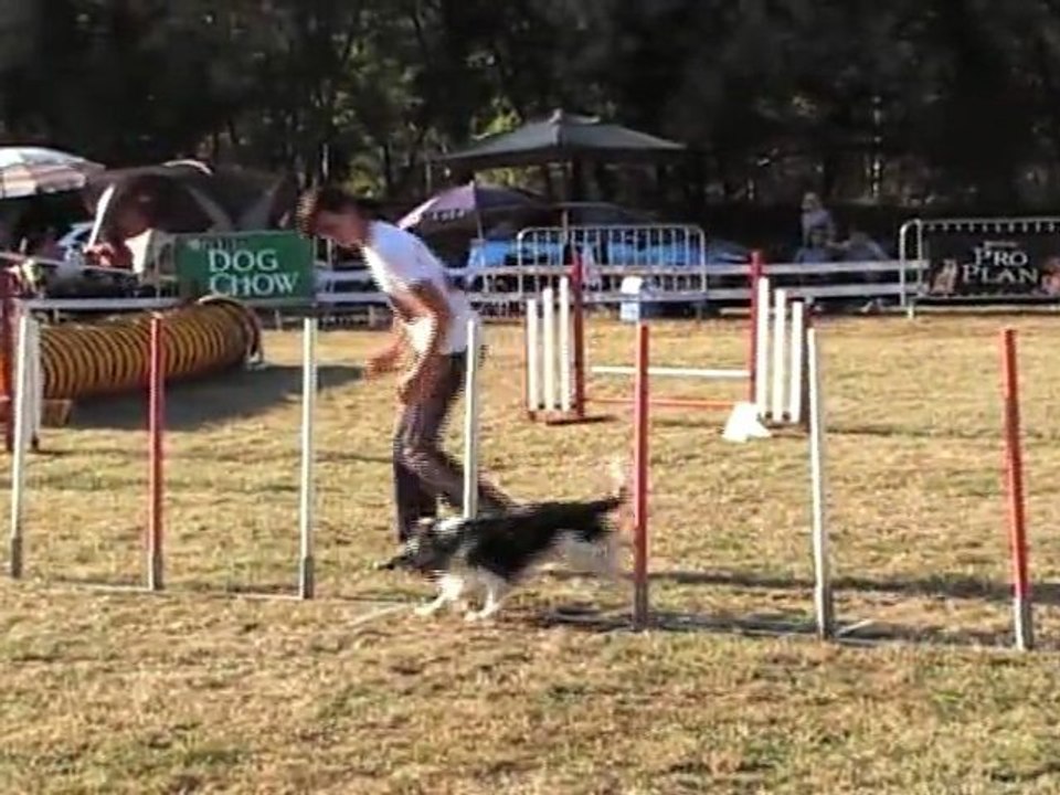 JUMPING CCABS 161011 ETHAN