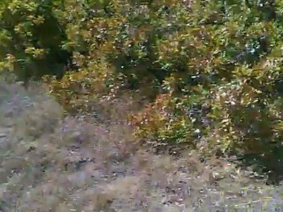 FANTA CELGIN KEKLIK APORTU