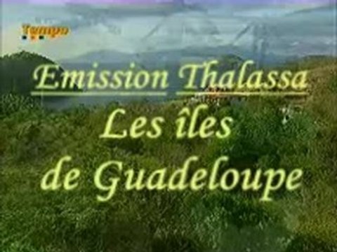 Les iles de Guadeloupe