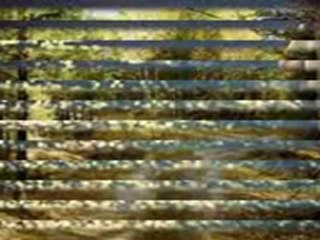 TUTAMADIM ELLERİNDEN