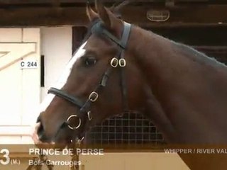 Lot 143 par Whipper et River Valentine