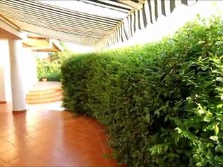 Shade from the sun in the hot summer months with WonderHedge