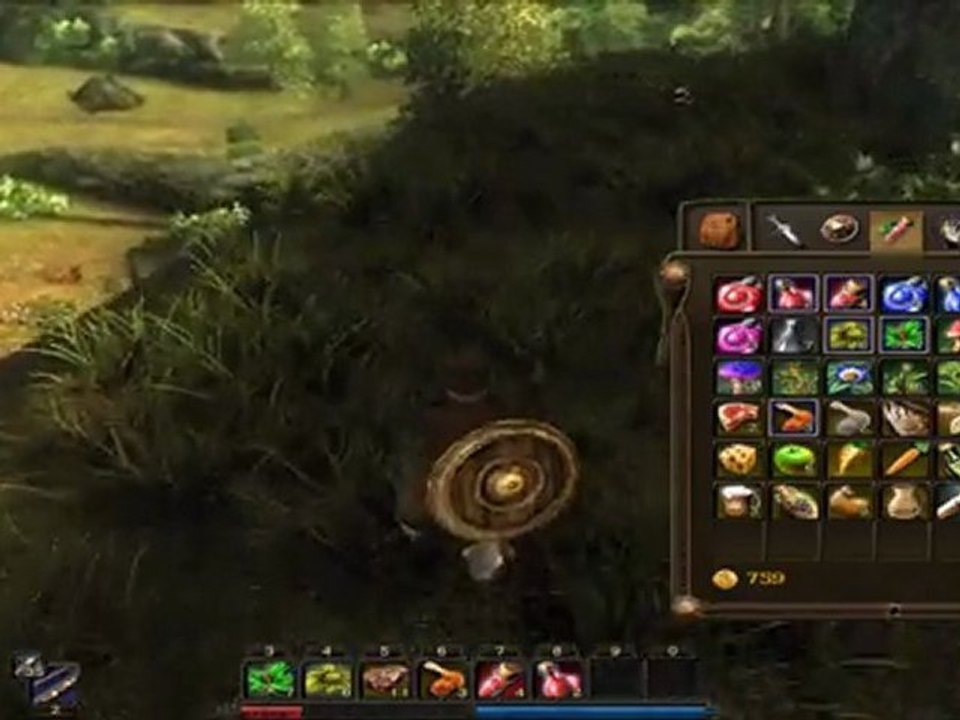 [FS] Risen 12-Entrée à Port Faranga-