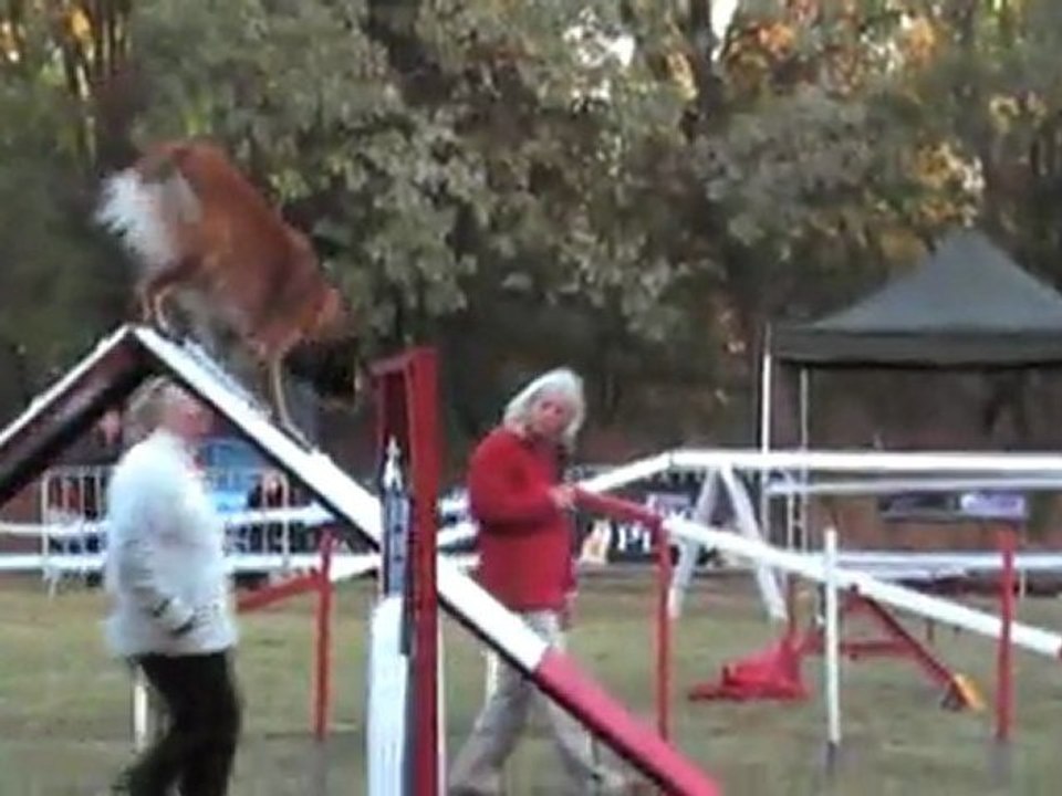 OPEN CCABS 161011 CALI