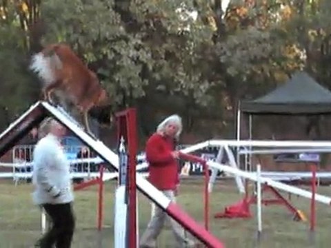 OPEN CCABS 161011 CALI