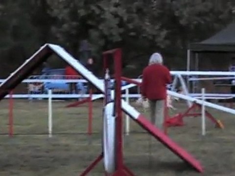 OPEN CCABS 161011 CERISE