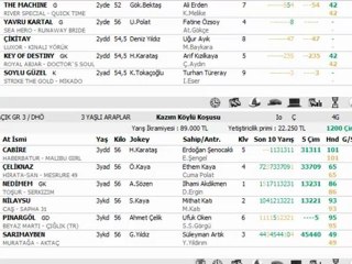 19 EKİM İSTANBUYL YARIŞ YORUMLARI
