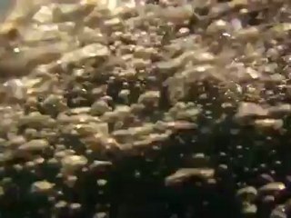 Okyanusta mavi balina keyfi!