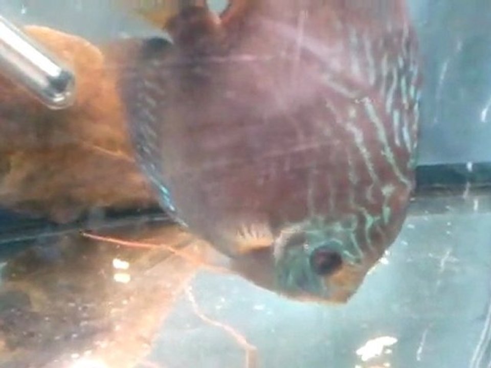 video-2011-10-18-17-42-28