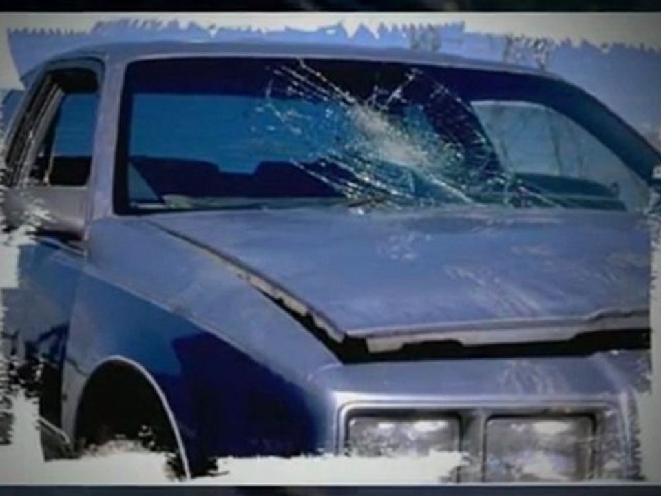 28604  windshield repair