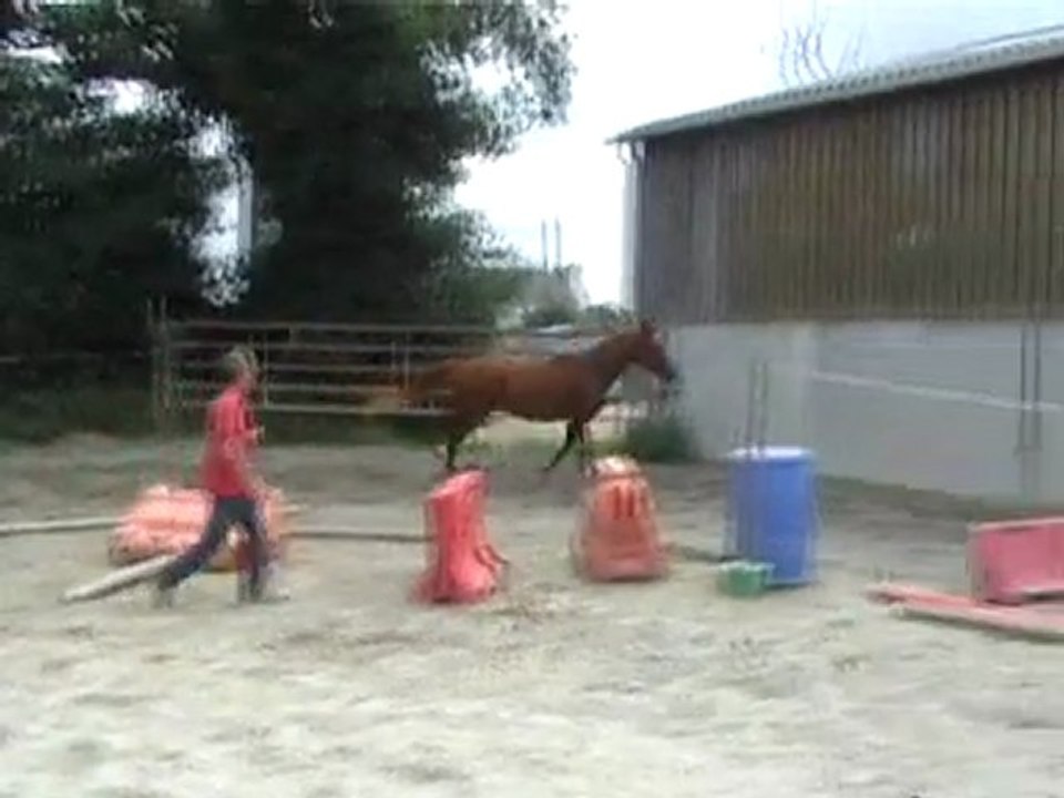 ULYSSE D'IVIN octobre  2011