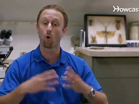 Pest Control Service