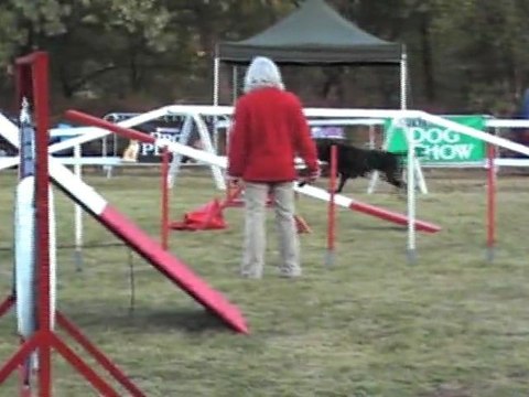 OPEN CCABS 161011 SIDO