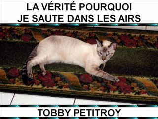 Pourquoi je saute dans les airs-TOBBY