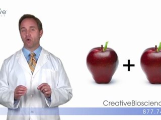 What foods are allowed on the hCG diet?