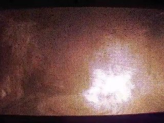 Microwaving My New White iPHONE 4S Right Out Of The Box