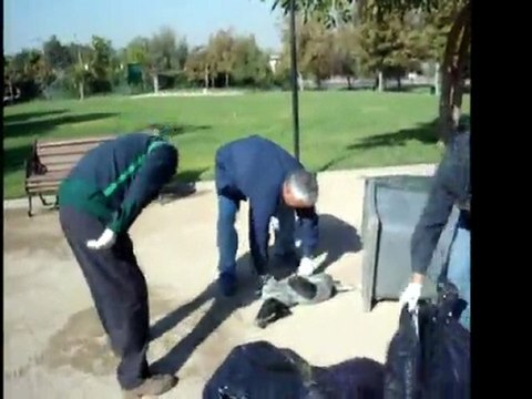 En Chile un grupo de trabajadores del departamento de Higiene de San Joaquín fue descubierto mientras aplicaba inyecciones letales a perros