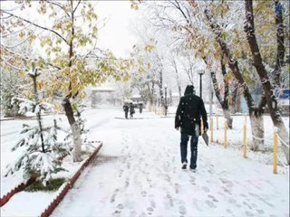 Fatma Şenol - Erzurum Karları